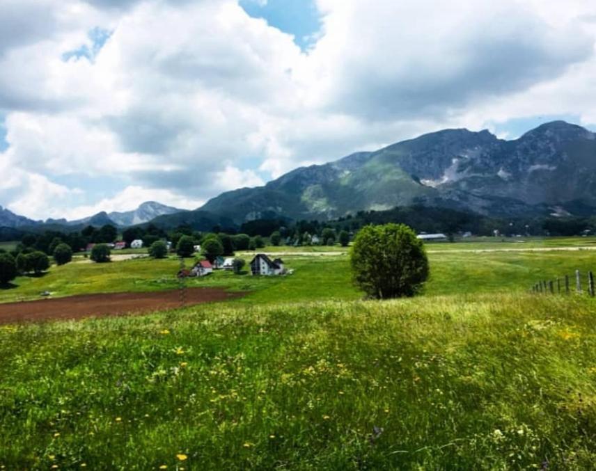 Mountain Peaceful Cottages Žabljak Exteriör bild